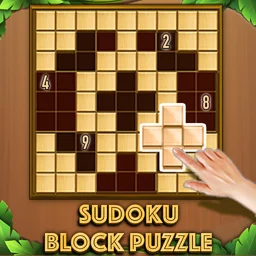Sudoku Block Puzzle